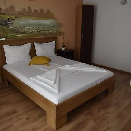 Guest house Pensiunea Sellina