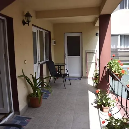 Pensiunea Sellina Guest house
