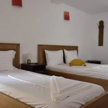Guest house Pensiunea Sellina