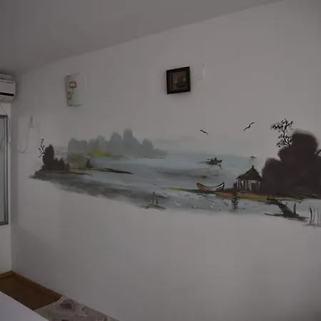 Guest house Pensiunea Sellina *
