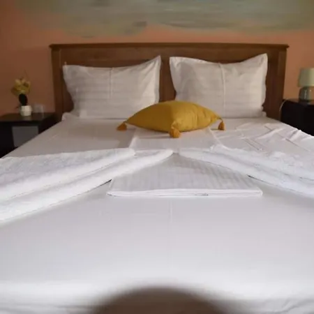 Guest house Pensiunea Sellina Sulina