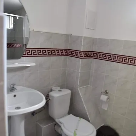 Pensiunea Sellina Guest house *